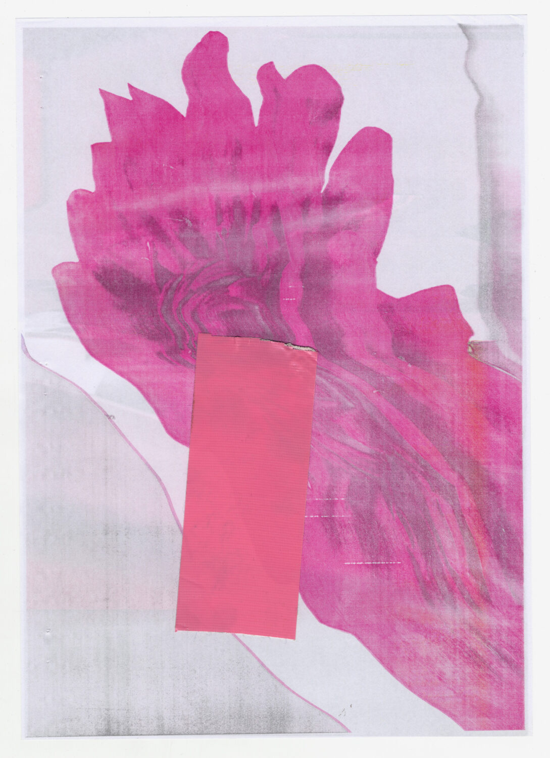 39 - David Douard