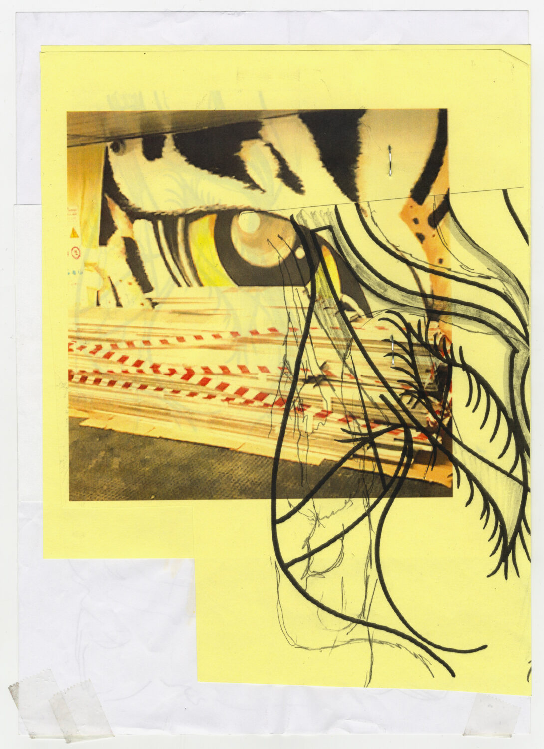  - David Douard