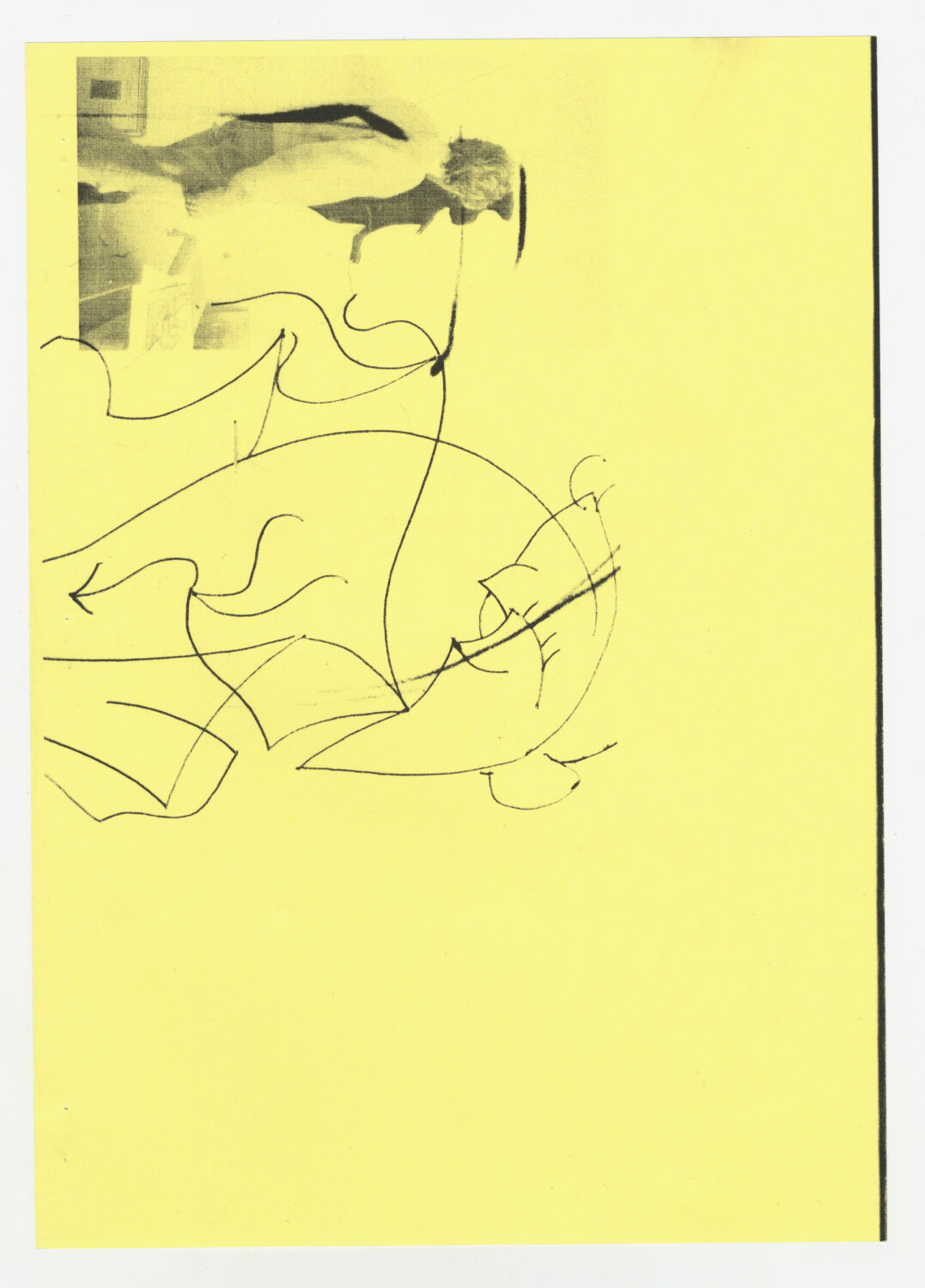 41 - David Douard