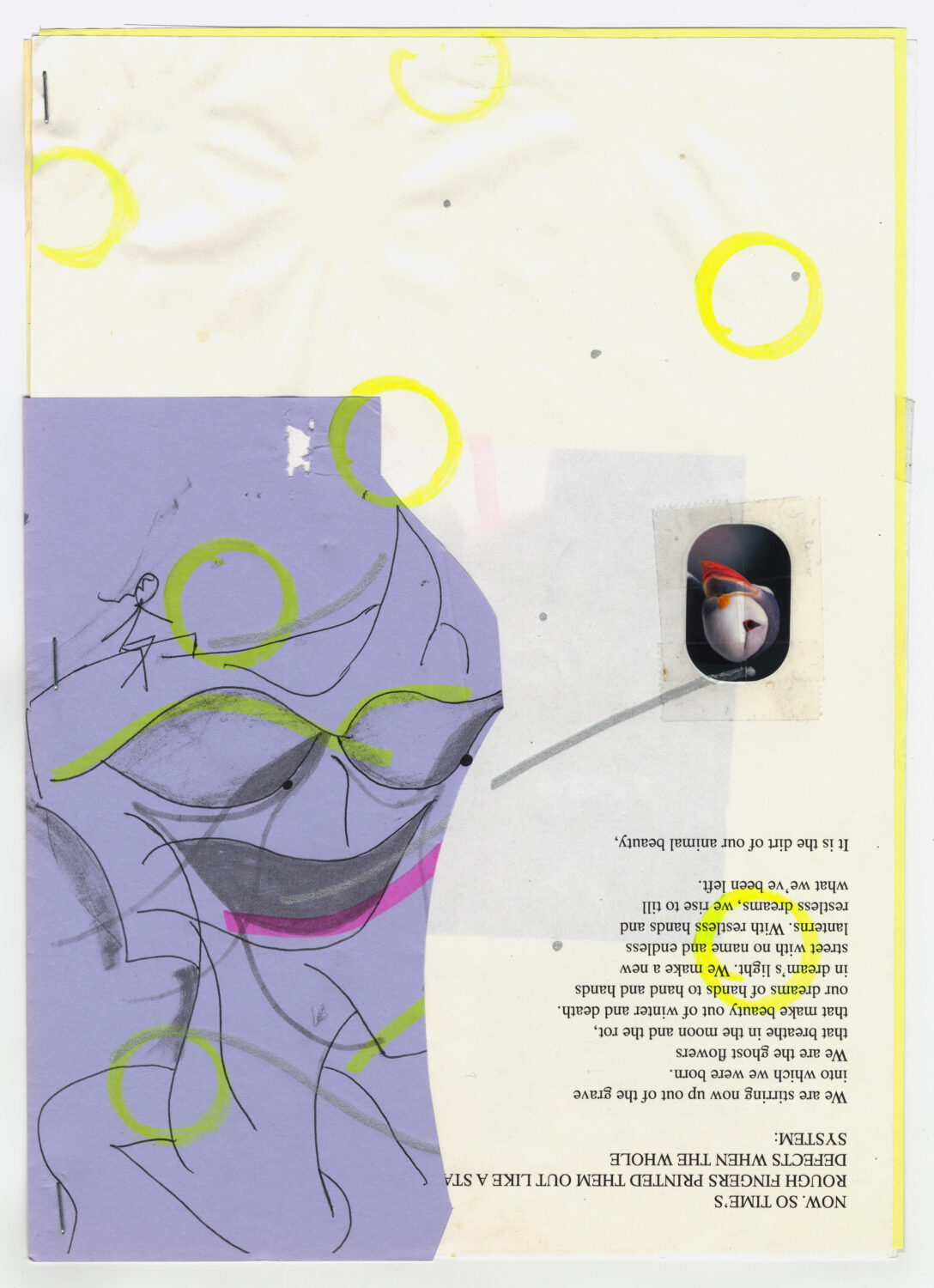 45 - David Douard