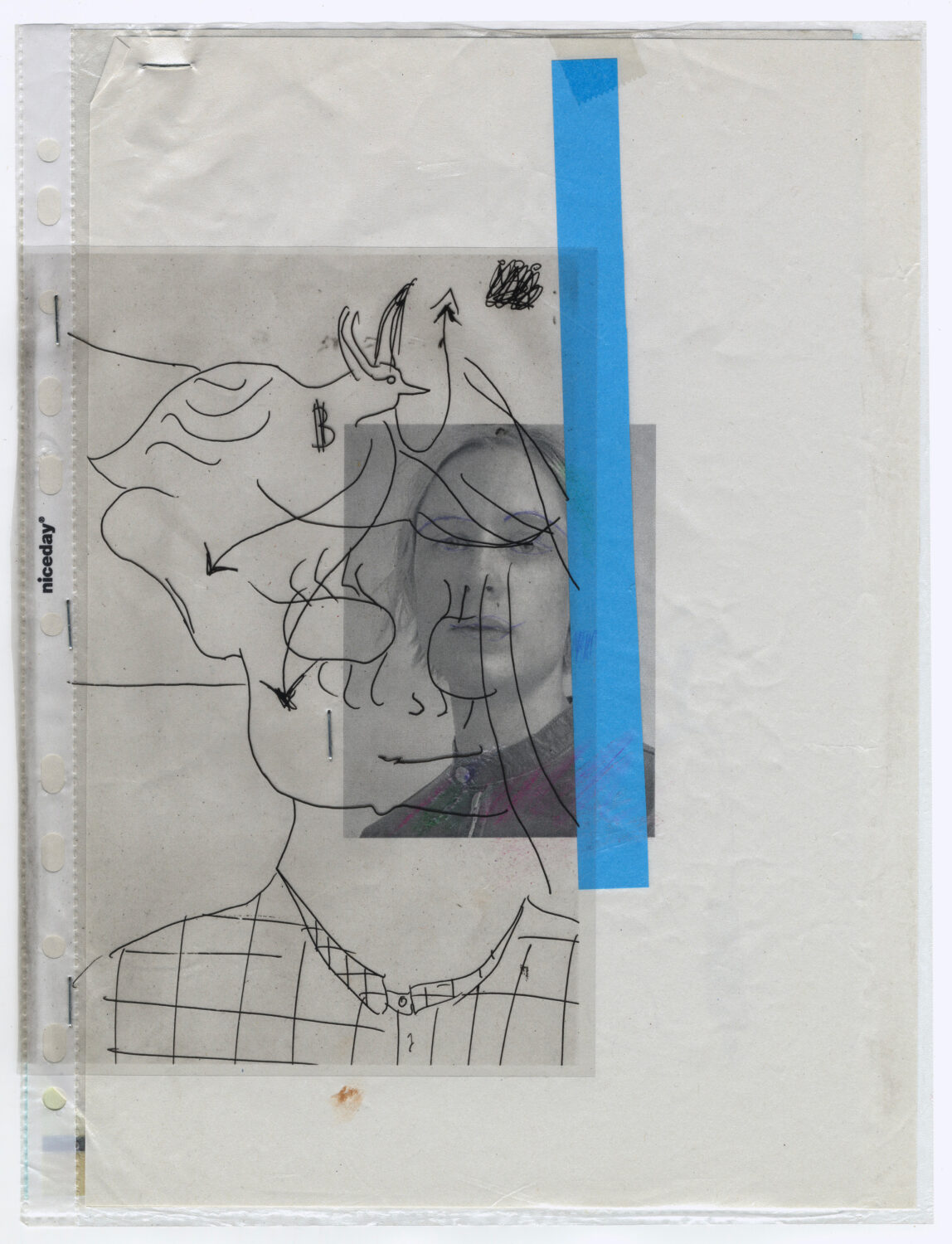 6 - David Douard