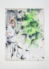 DAVID DOUARD & SOL LeWITT - David Douard