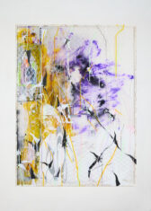 DAVID DOUARD & SOL LeWITT - David Douard
