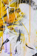 DAVID DOUARD & SOL LeWITT - David Douard