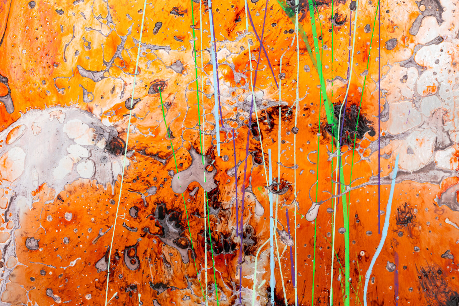 EG&rsquo; (orang - David Douard
