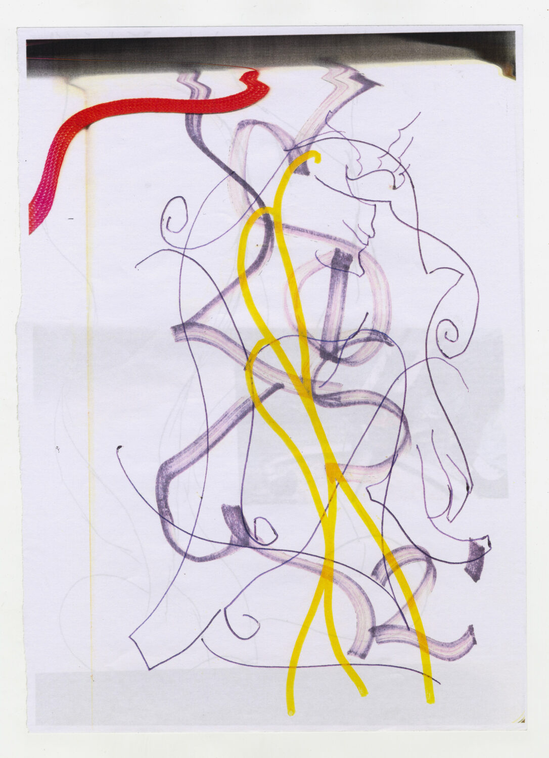 107 - David Douard
