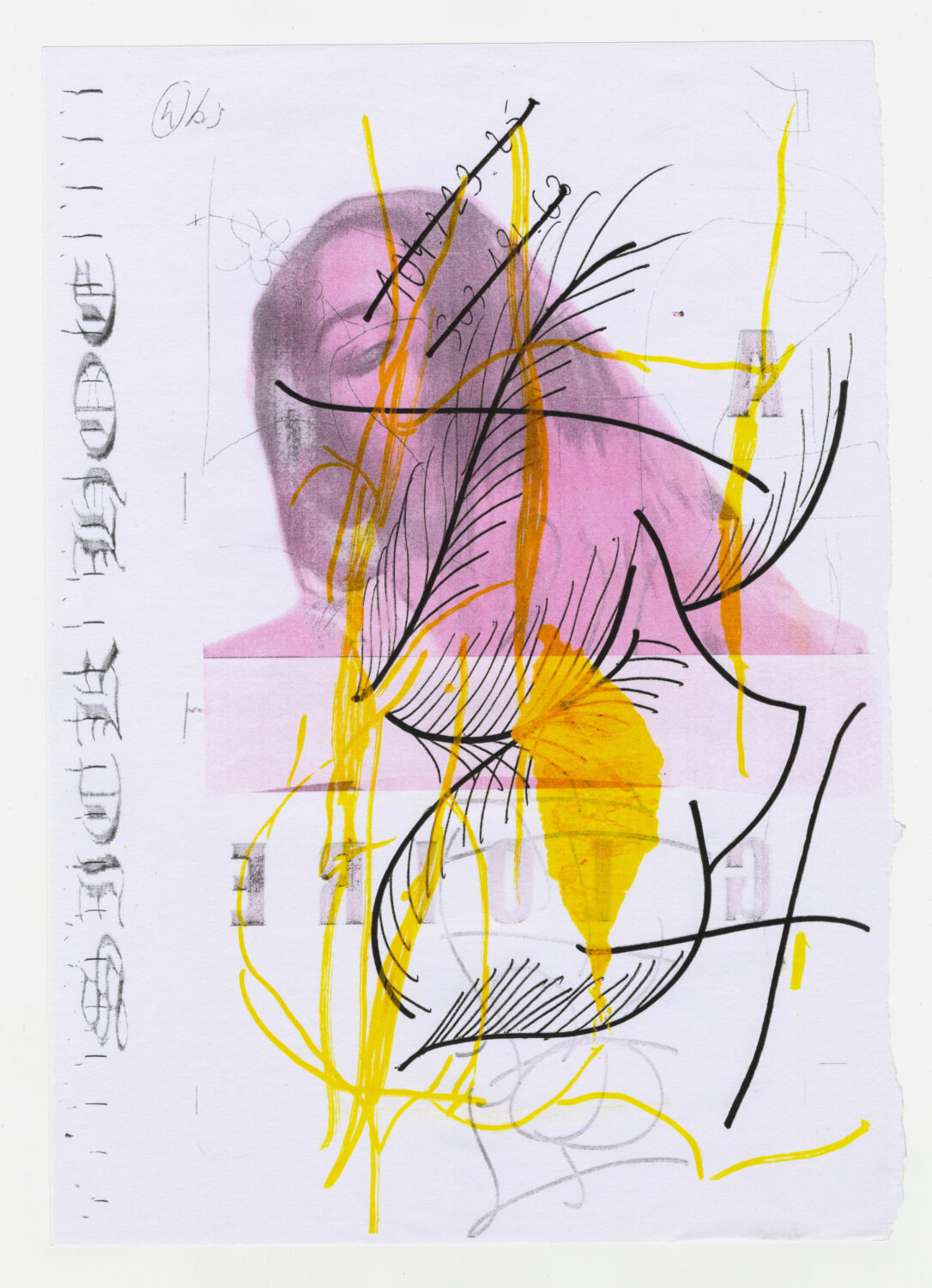 107 - David Douard