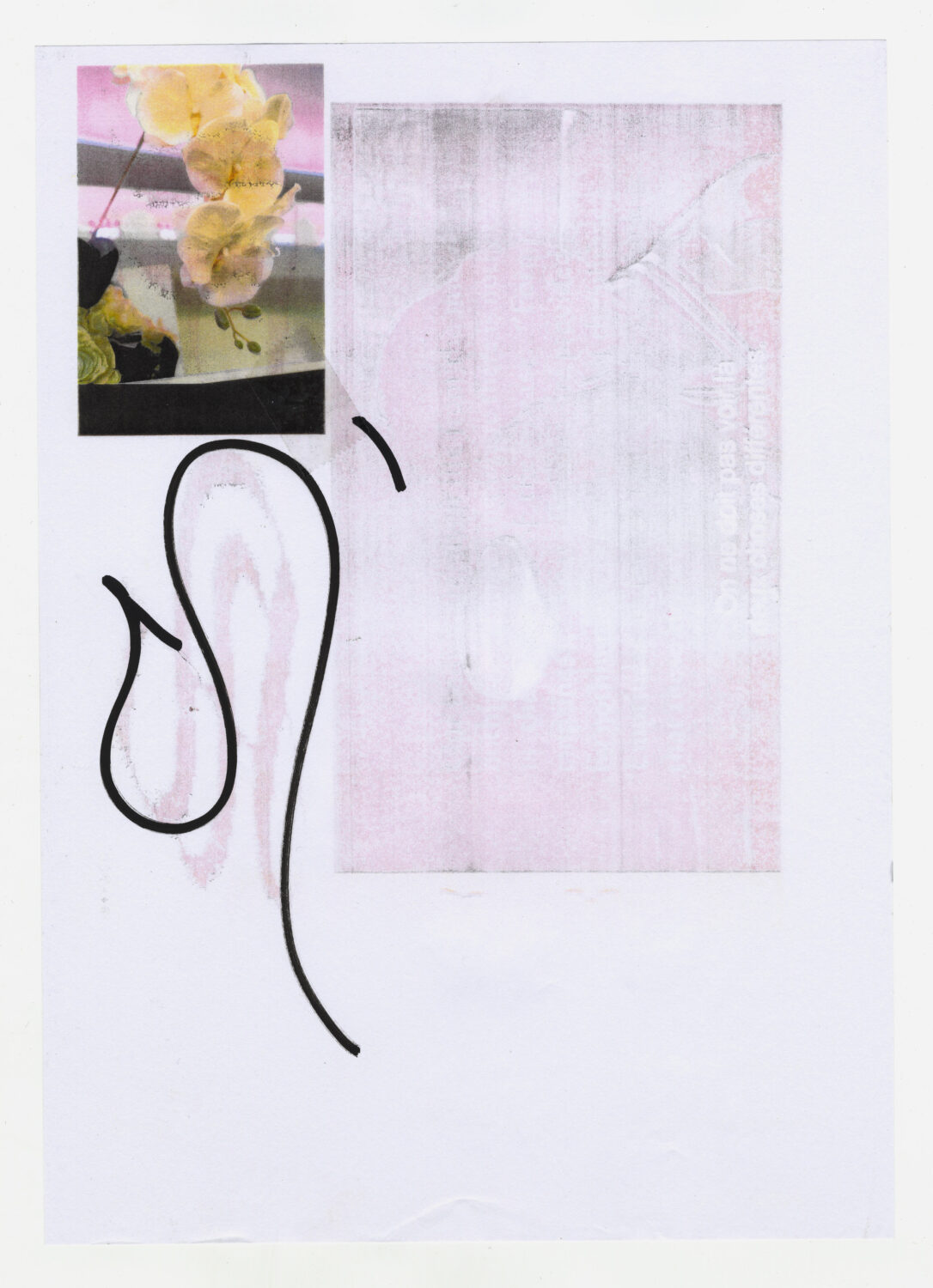 107 - David Douard