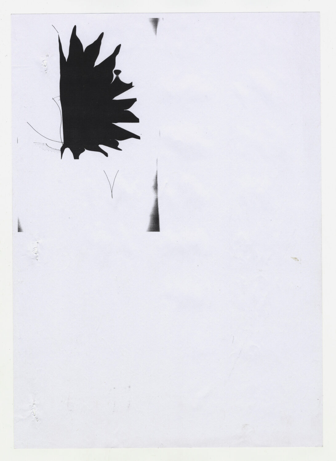 111 - David Douard