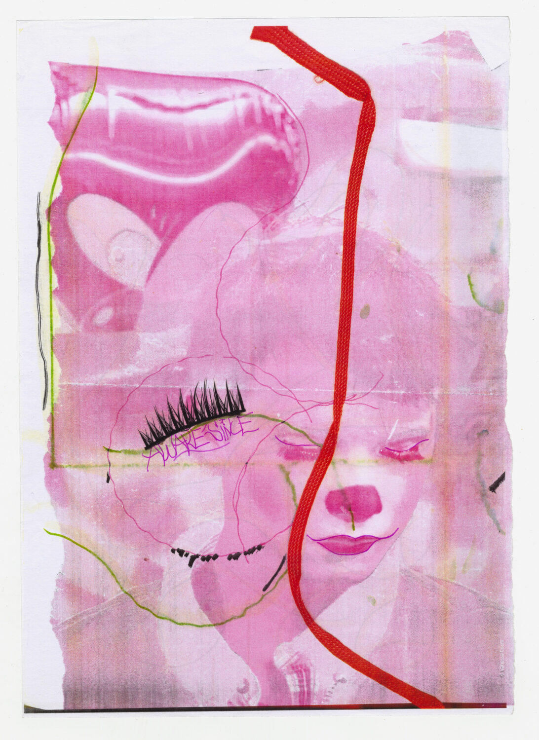 114 - David Douard