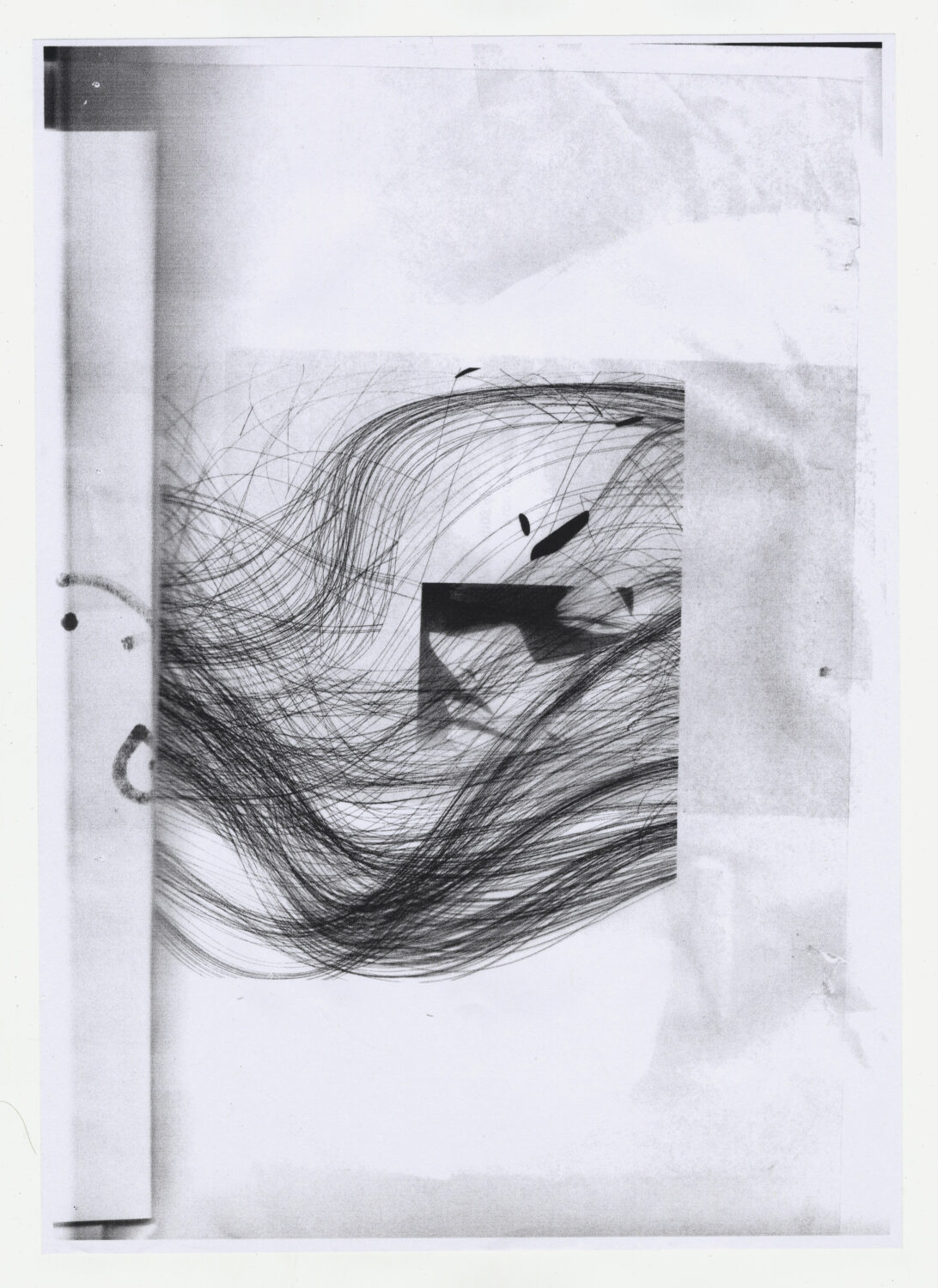 114 - David Douard