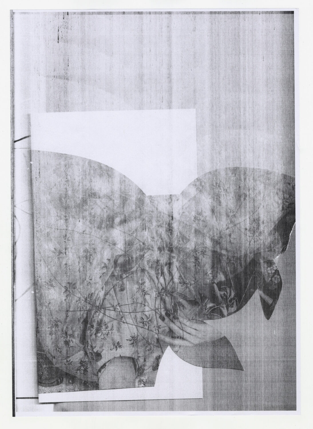 114 - David Douard