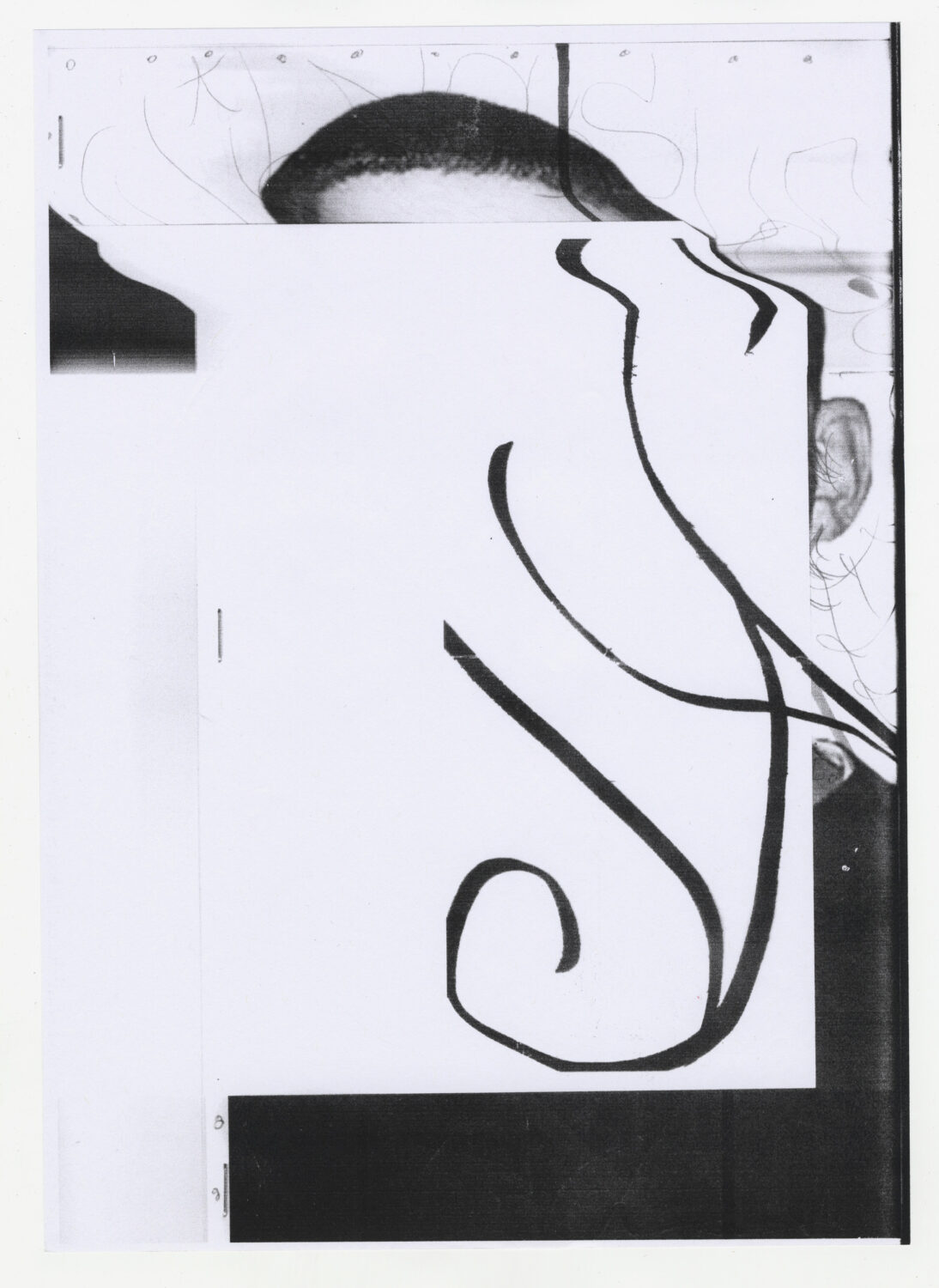 114 - David Douard