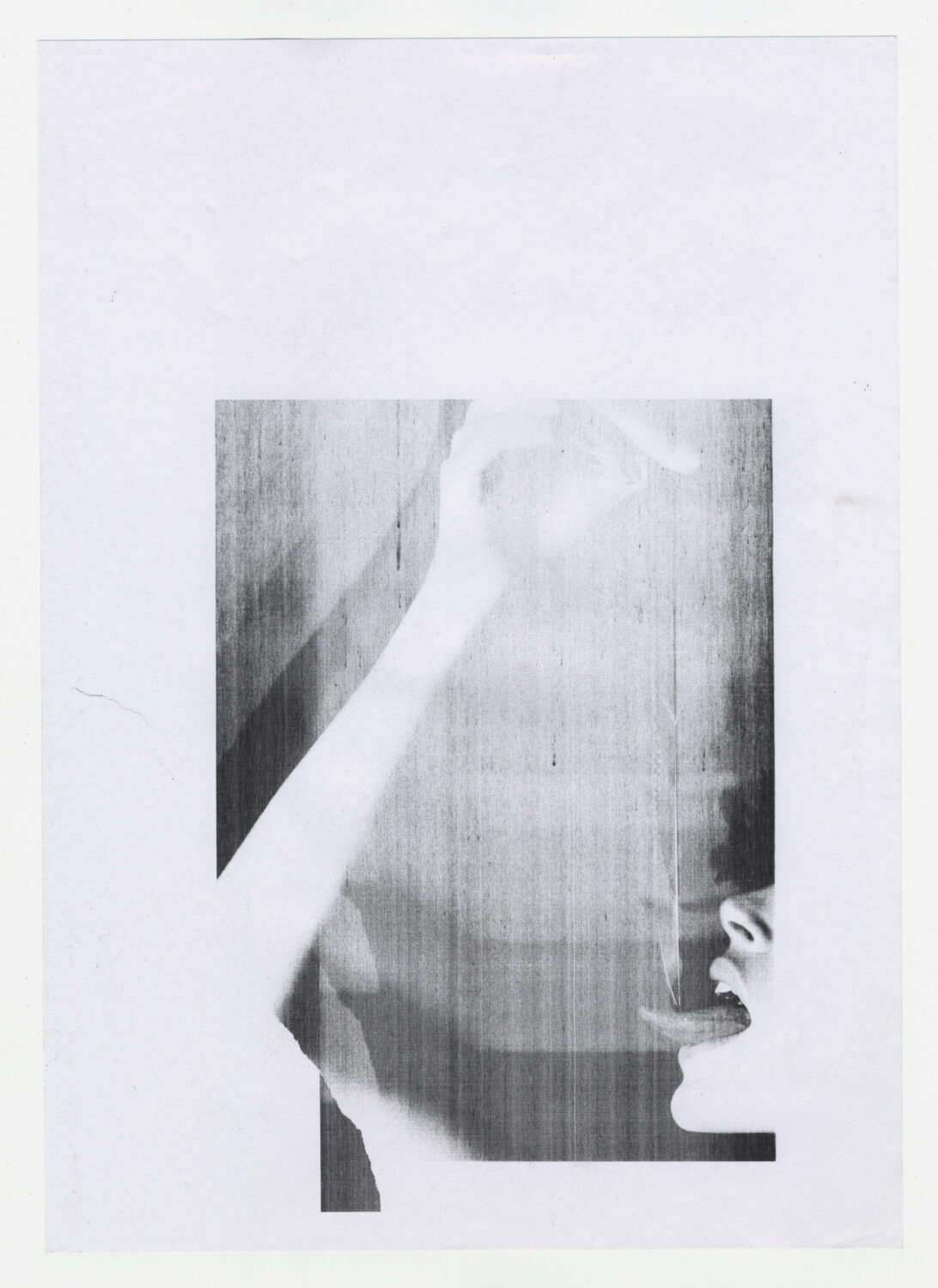 114 - David Douard