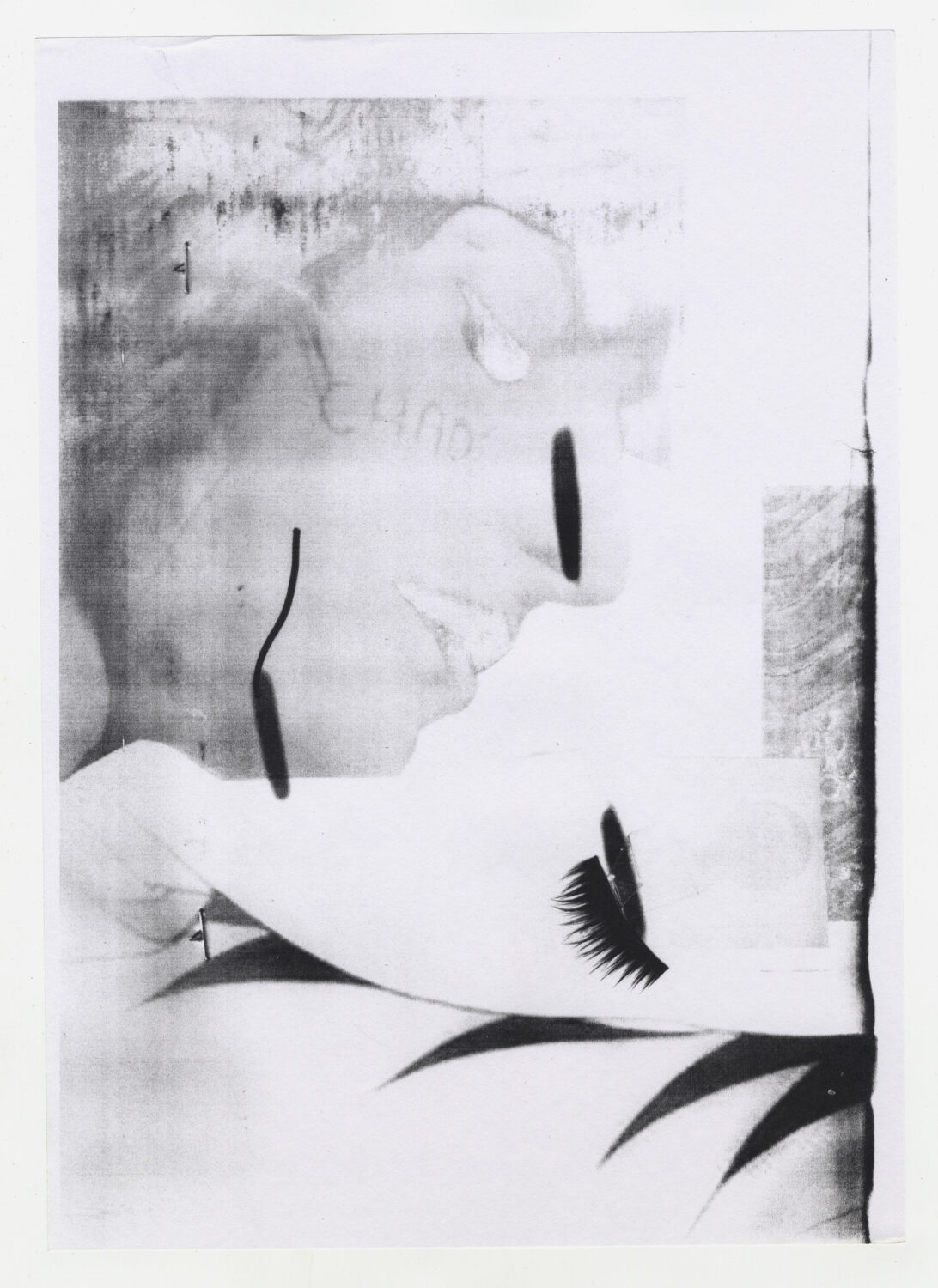 114 - David Douard