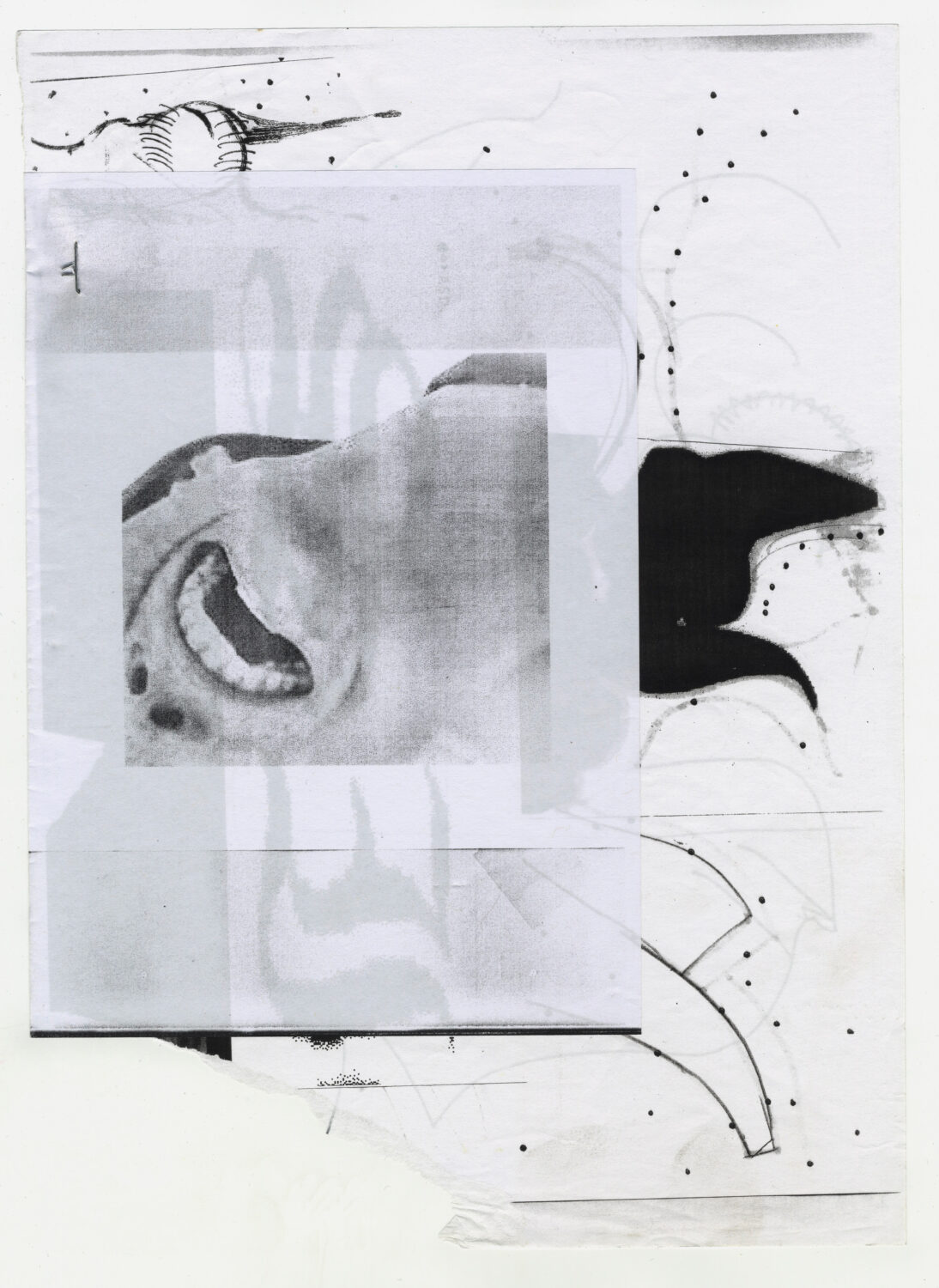 116 - David Douard