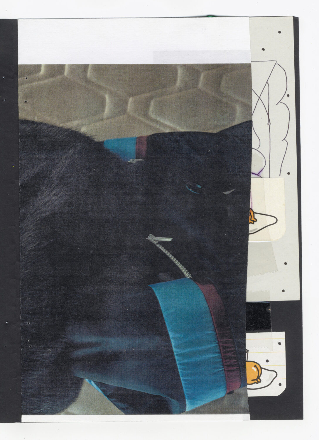 128 - David Douard