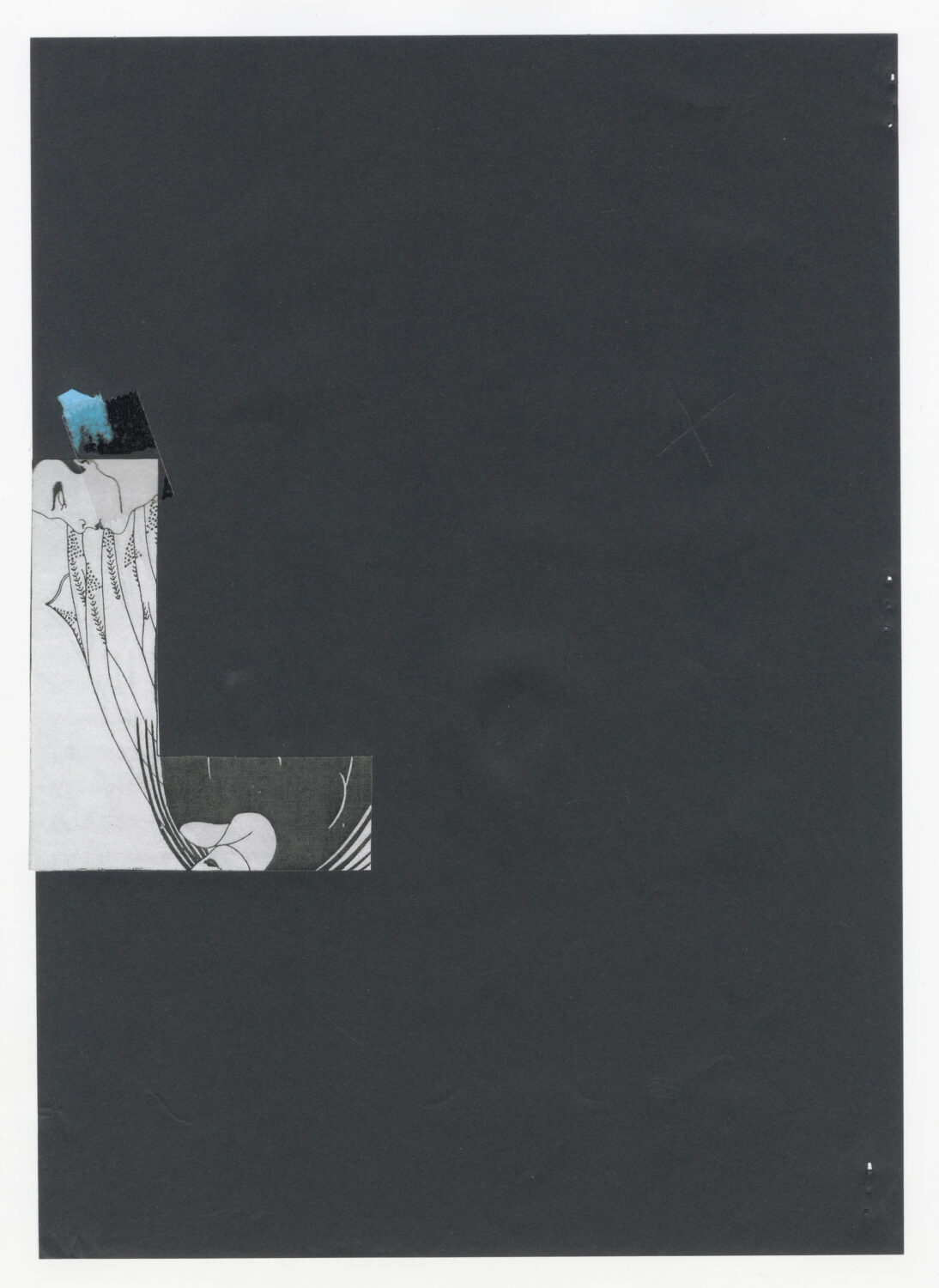 52 - David Douard