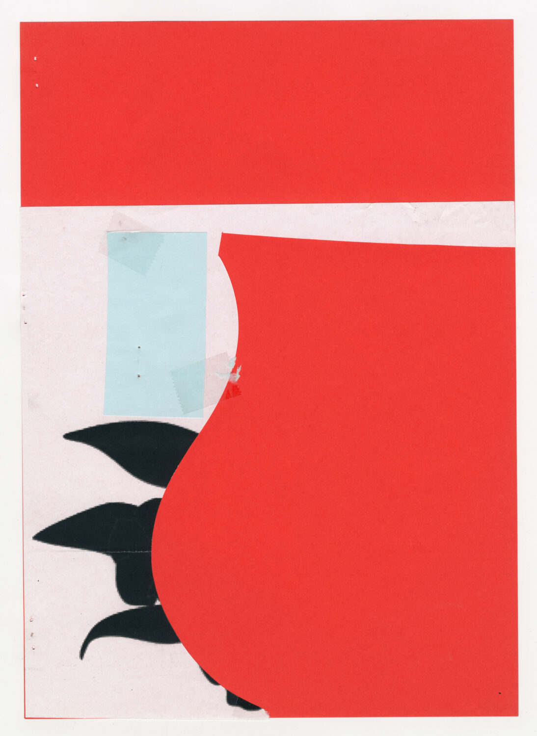 53 - David Douard
