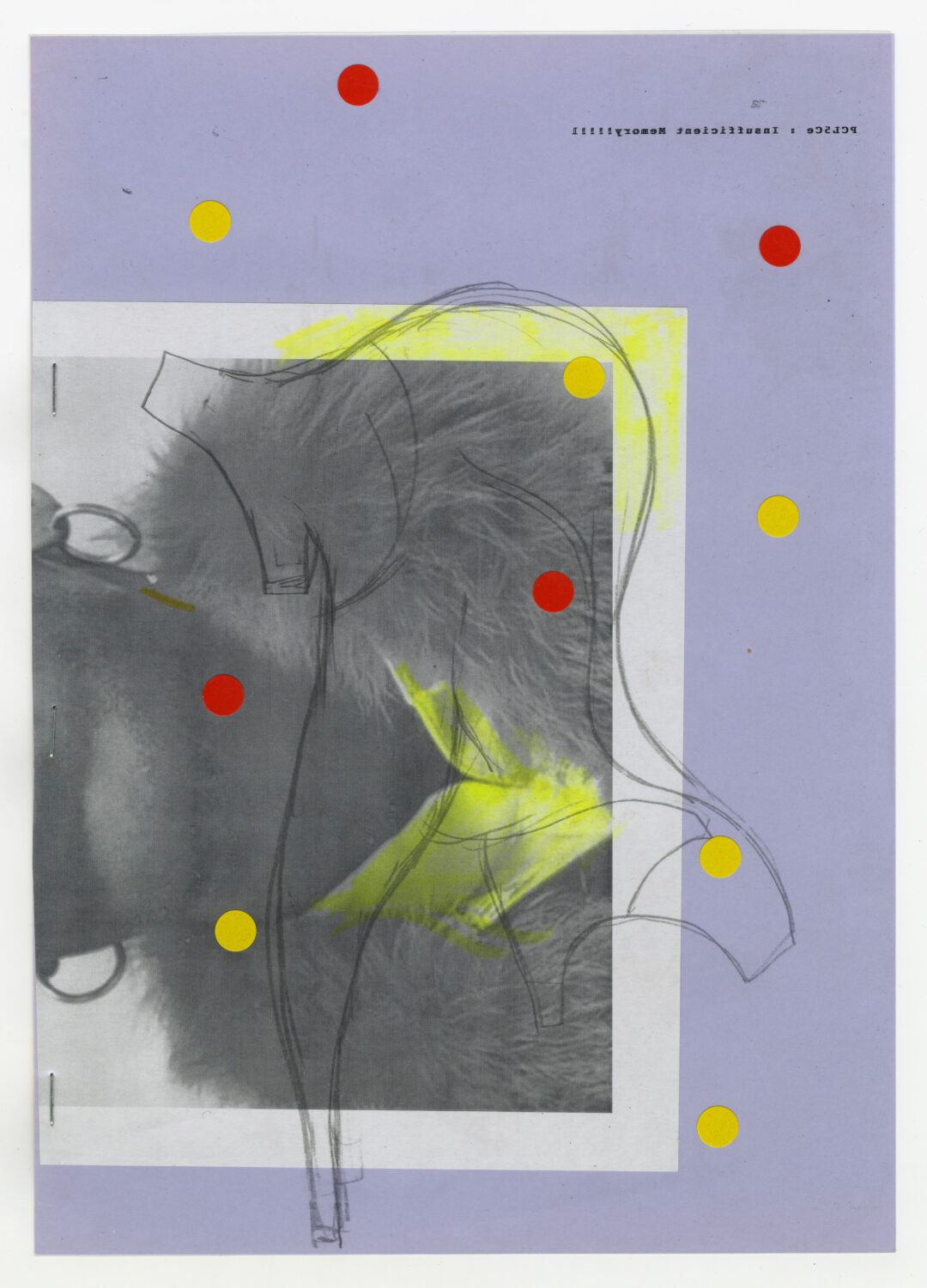 55 - David Douard