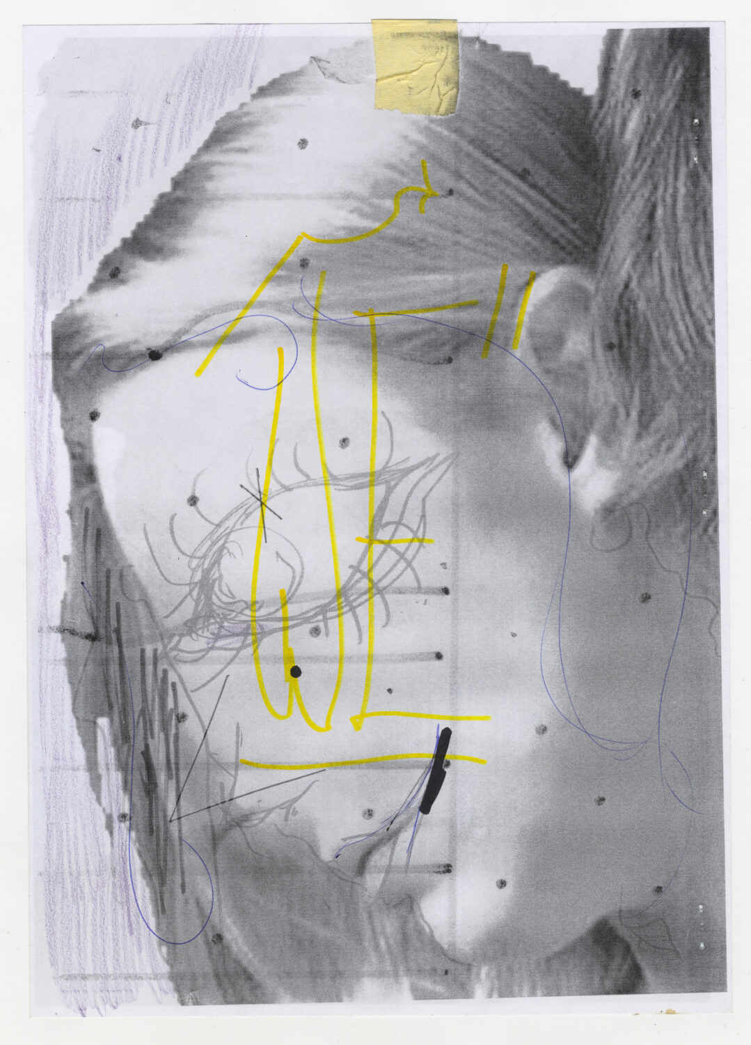 56 - David Douard