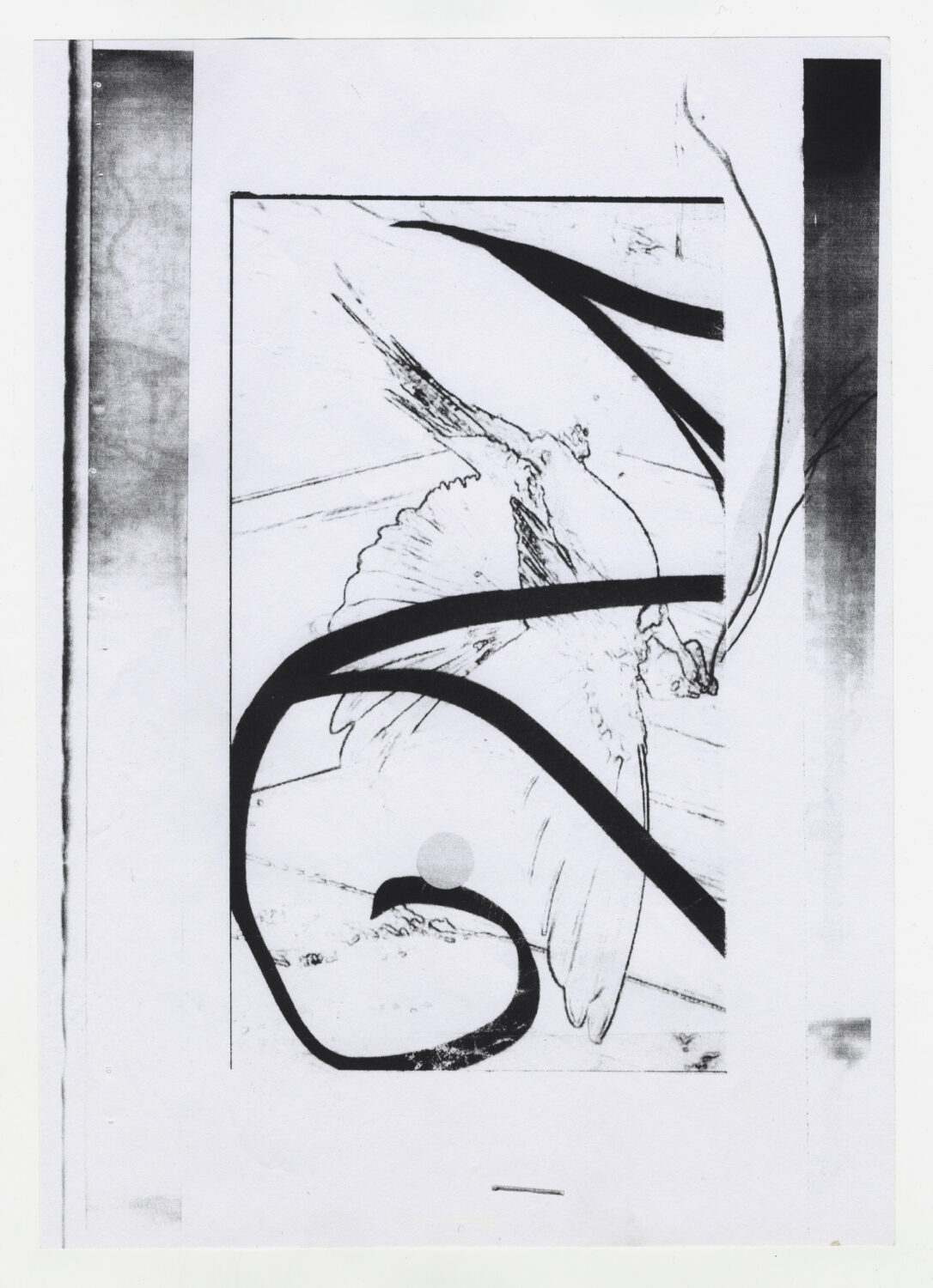 62 - David Douard