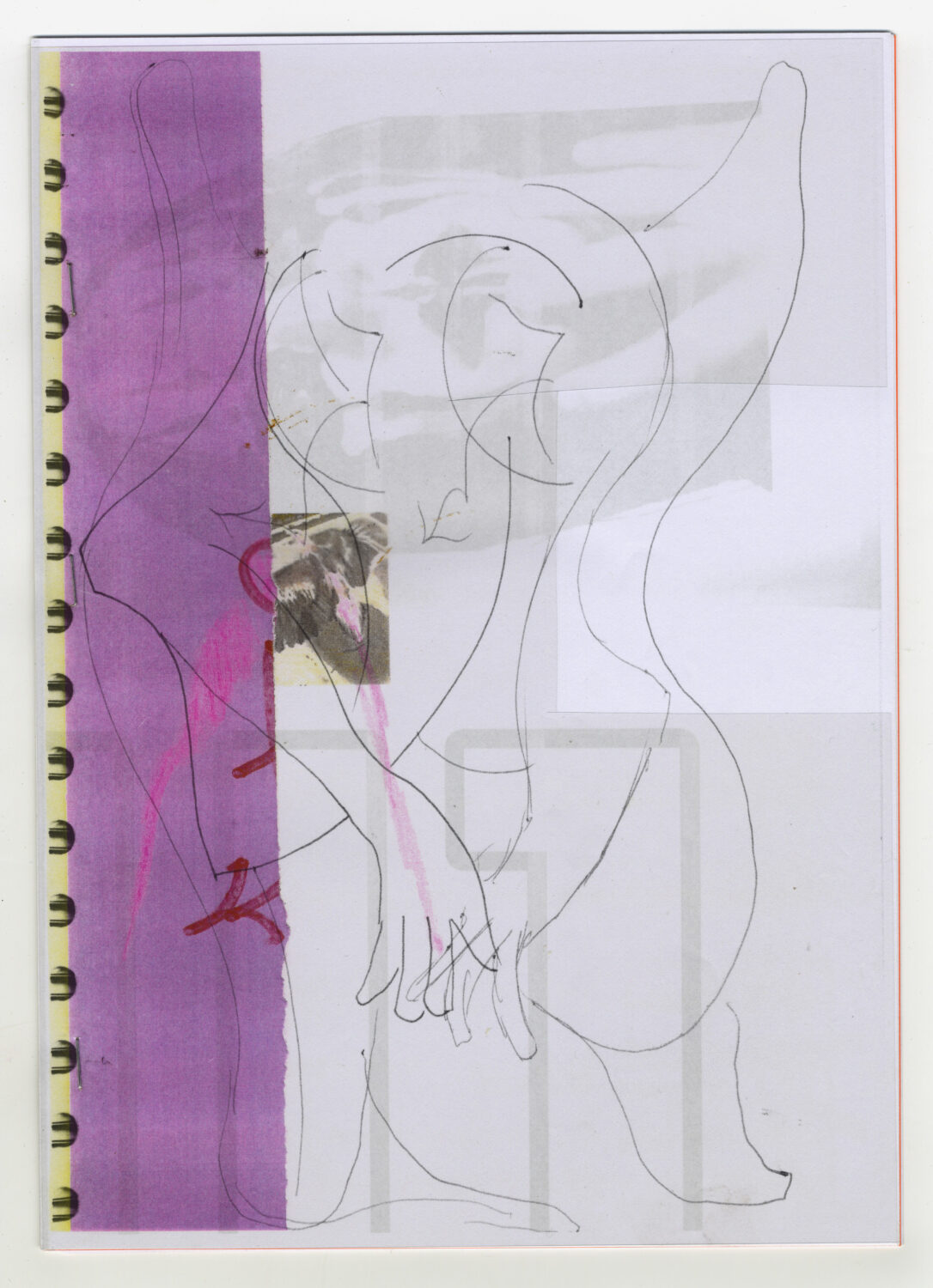 66 - David Douard