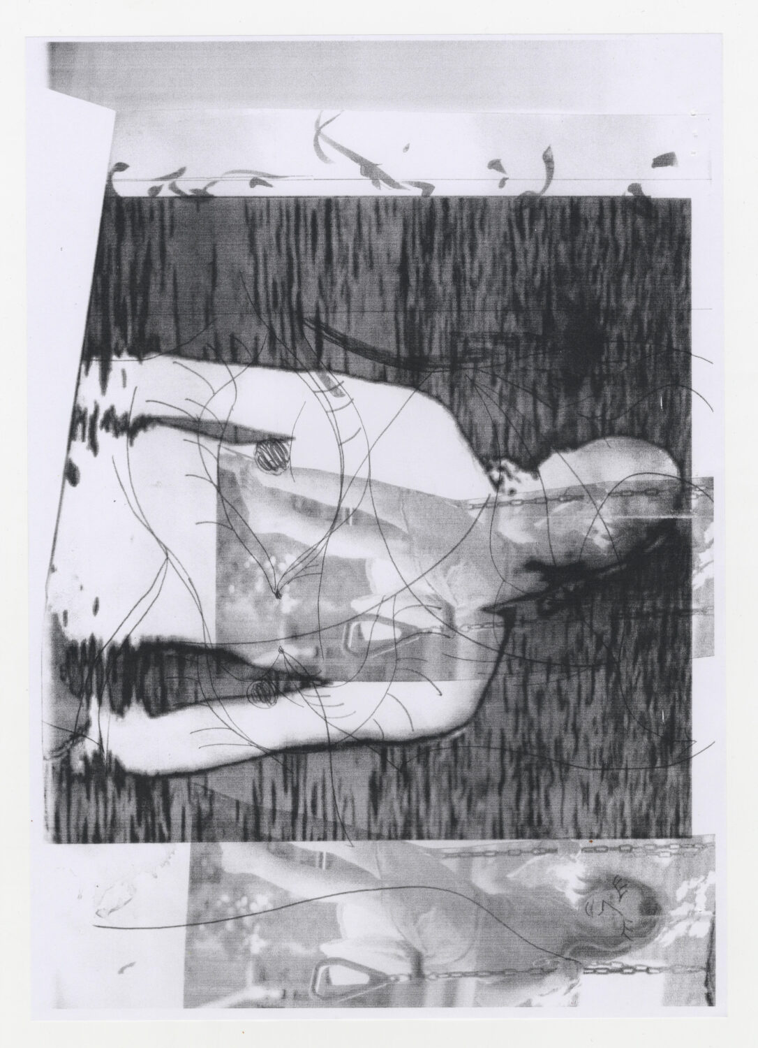 68 - David Douard