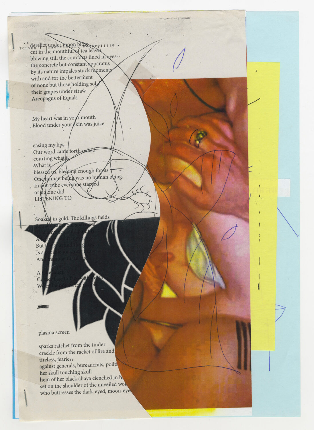 78 - David Douard