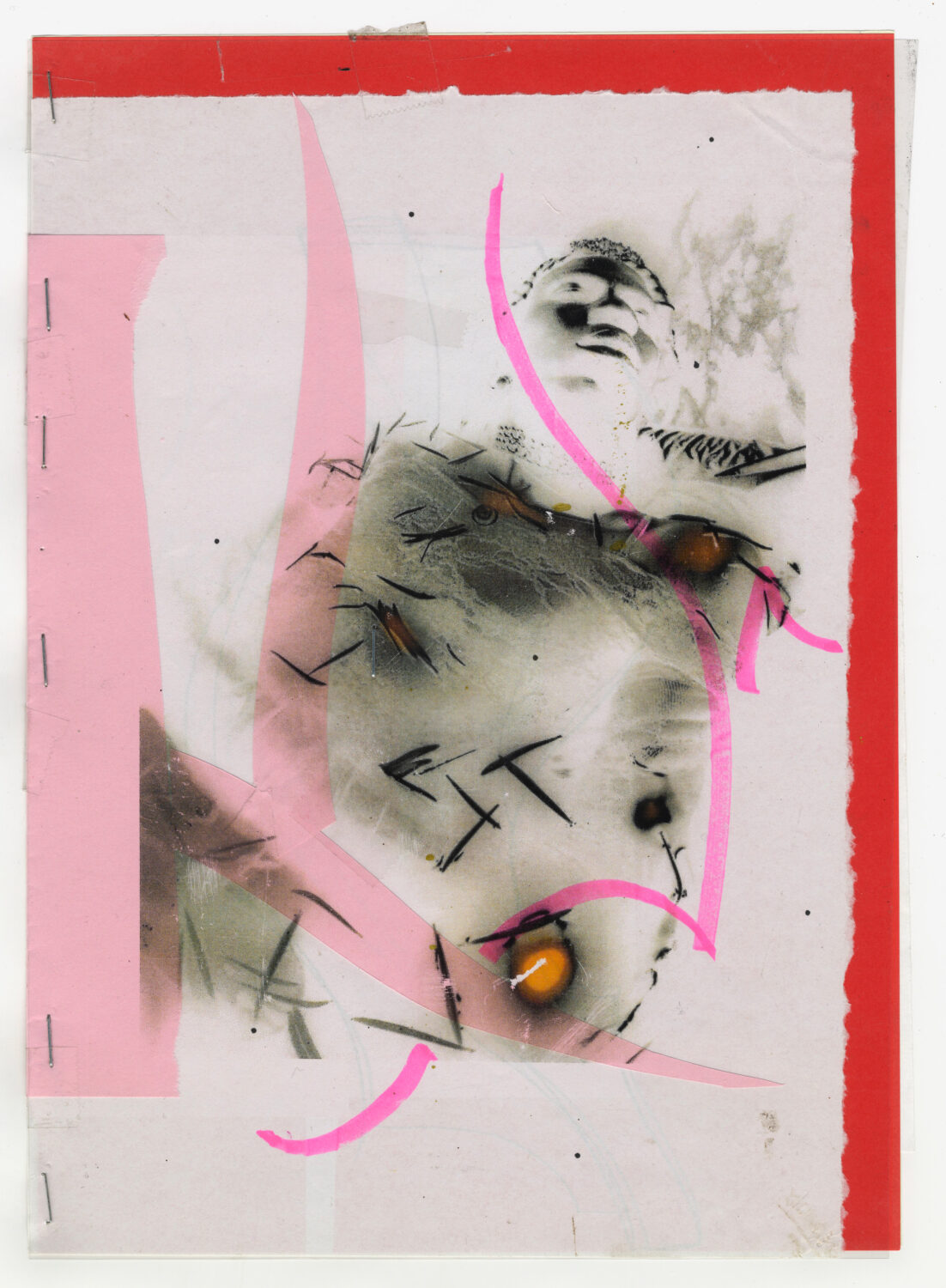 84 - David Douard
