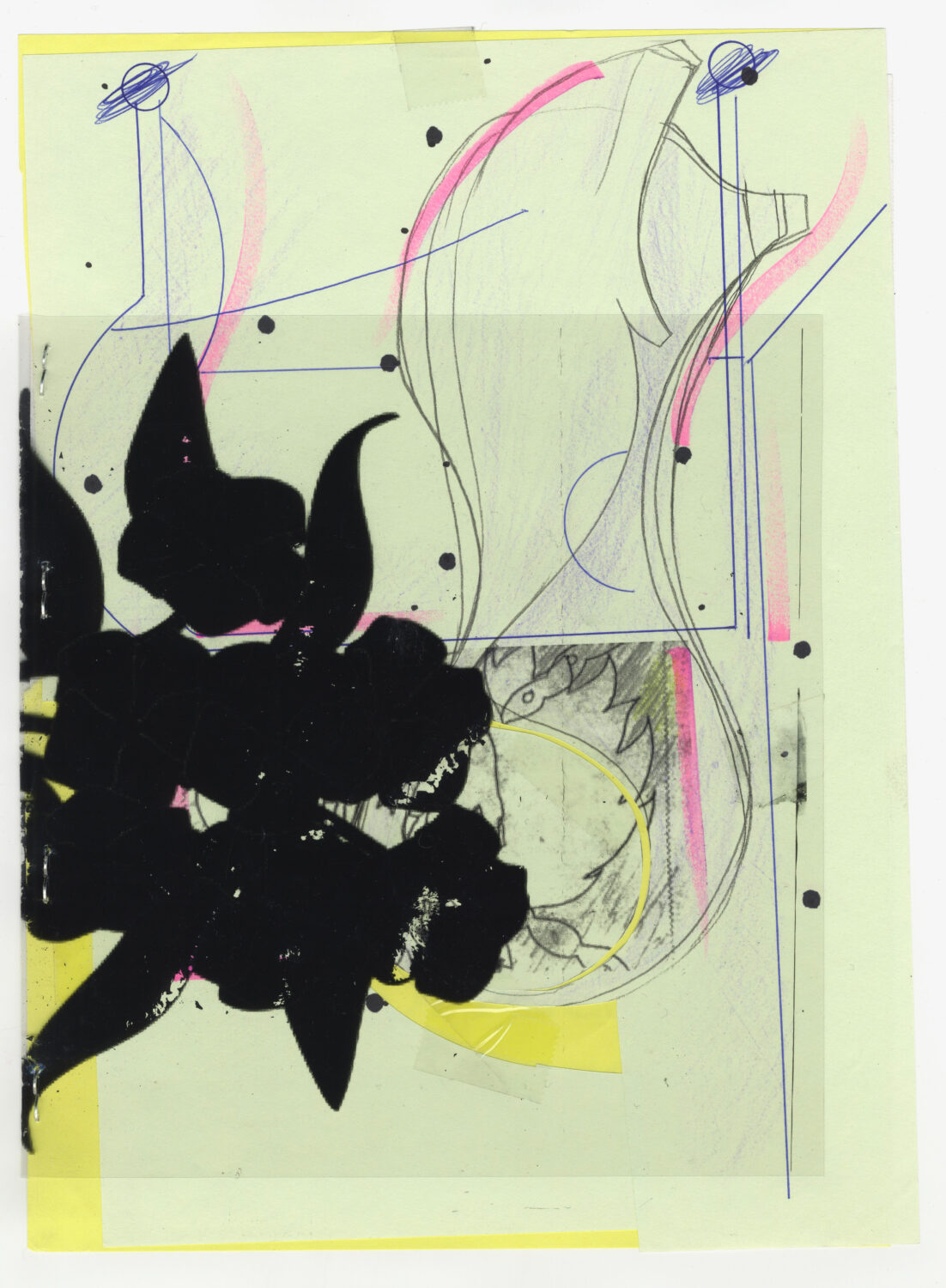 87 - David Douard