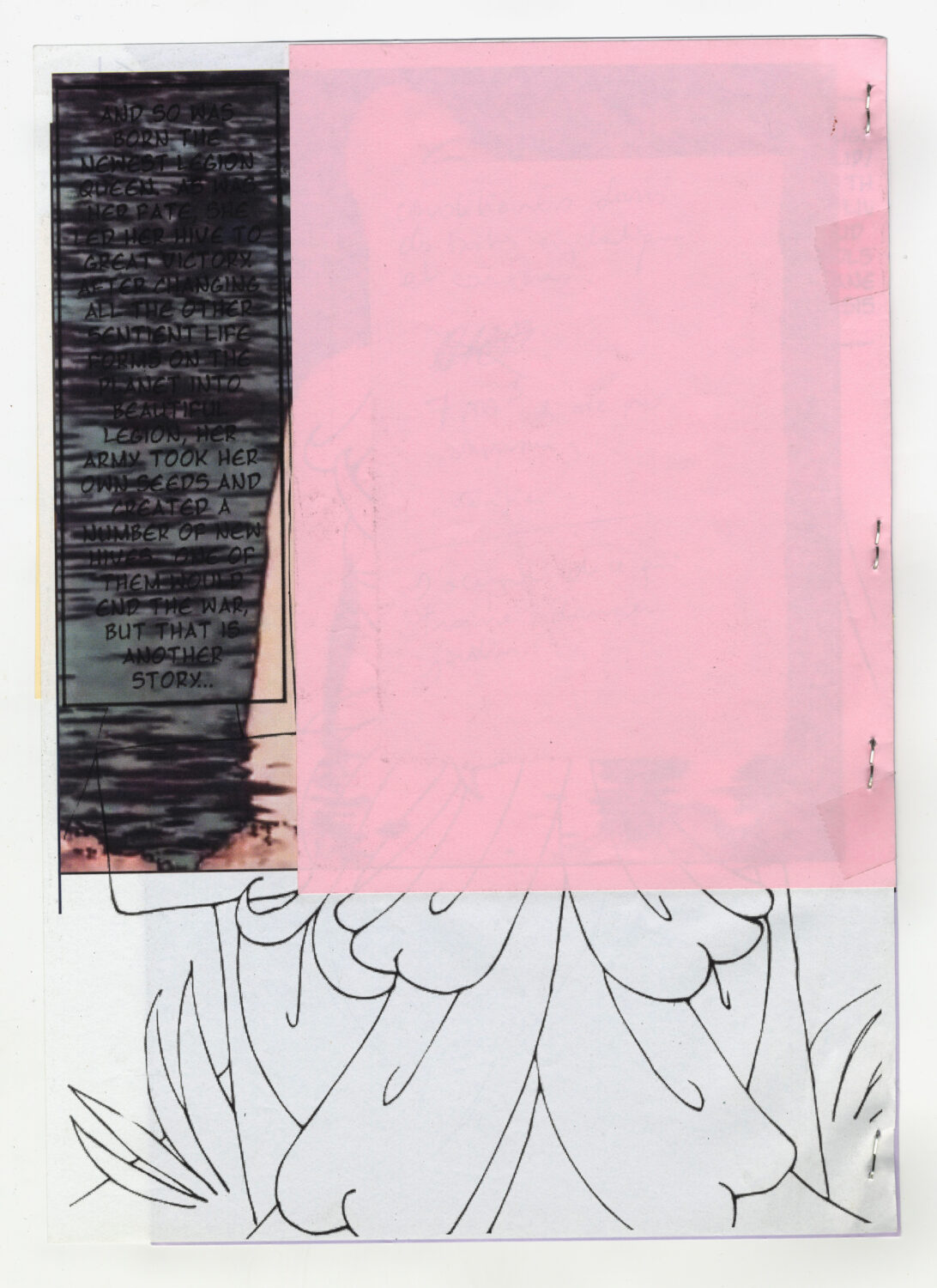 91 - David Douard