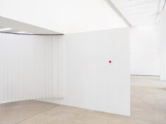 Crumbling the Antiseptic Beauty - David Douard