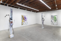 DAVID DOUARD & SOL LeWITT - David Douard