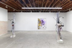 DAVID DOUARD & SOL LeWITT - David Douard