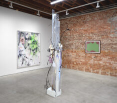DAVID DOUARD & SOL LeWITT - David Douard