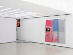 Crumbling the Antiseptic Beauty - David Douard