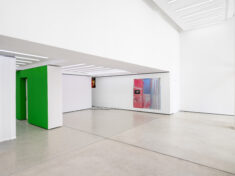 Crumbling the Antiseptic Beauty - David Douard