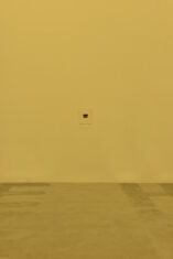 THEY - David Douard